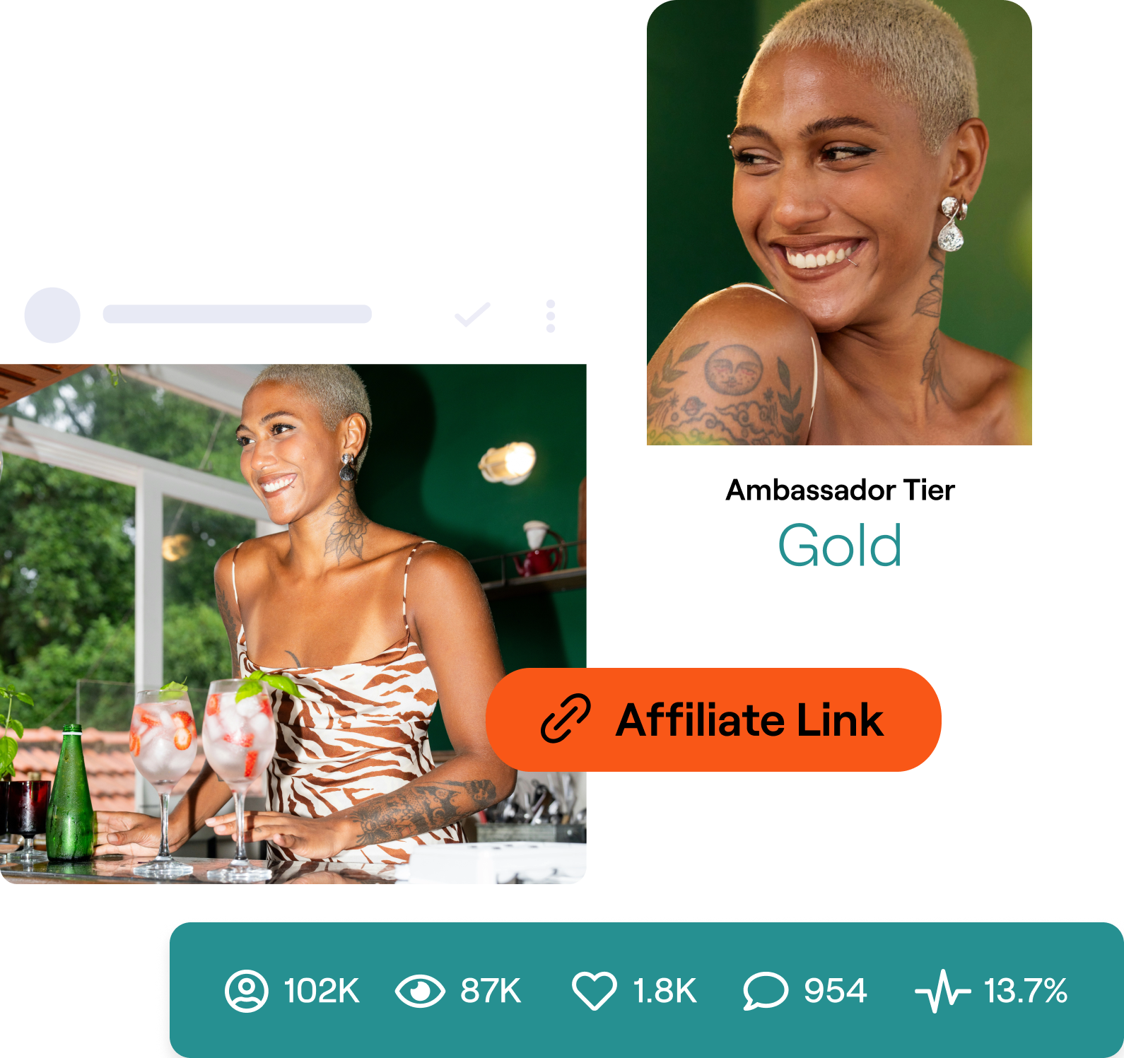 Stylized images of content and metrics in Sanad